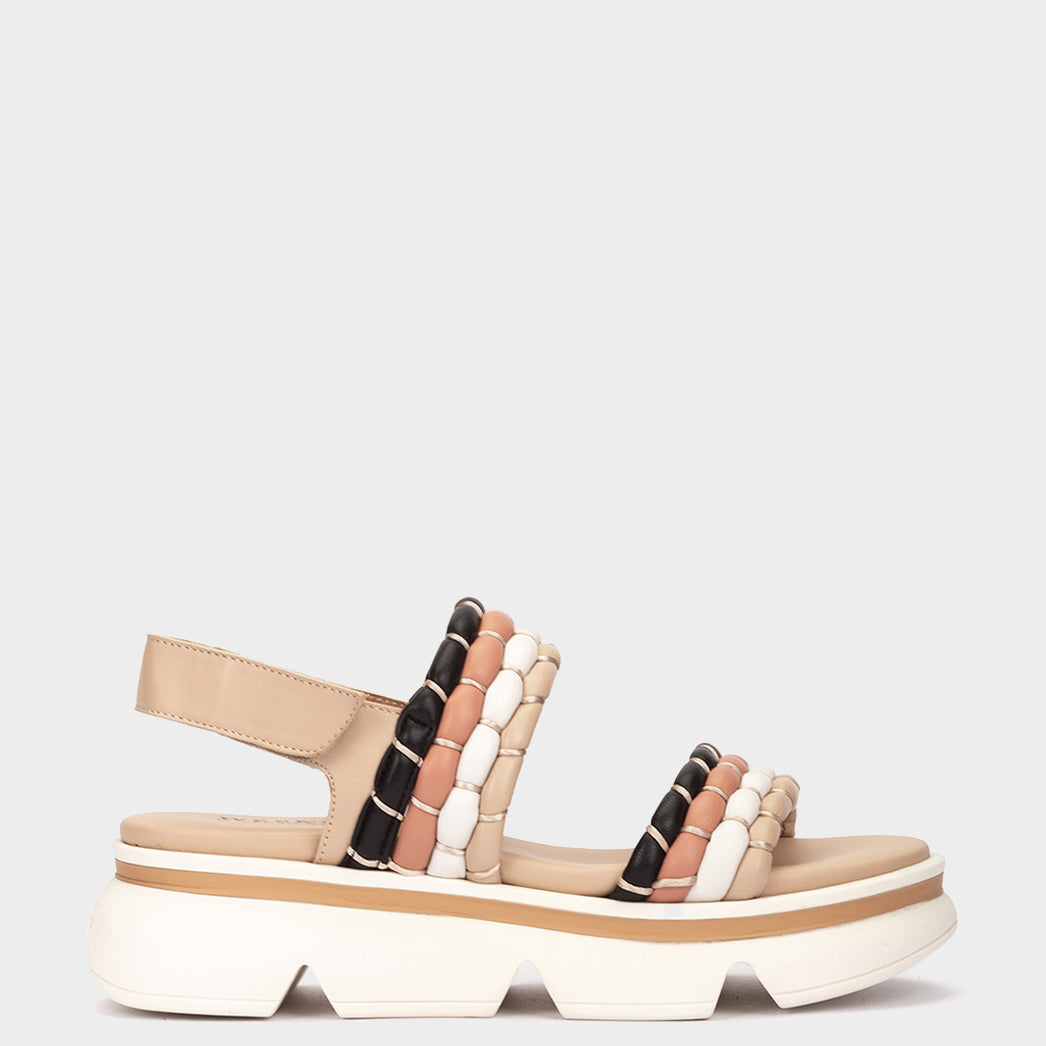 MONTECARLO MULTI HABANA