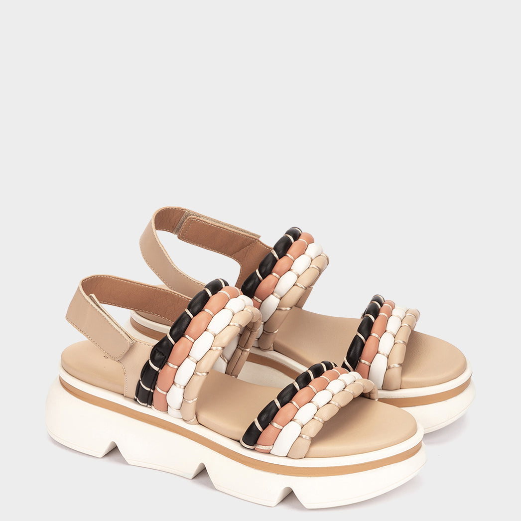 MONTECARLO MULTI HABANA