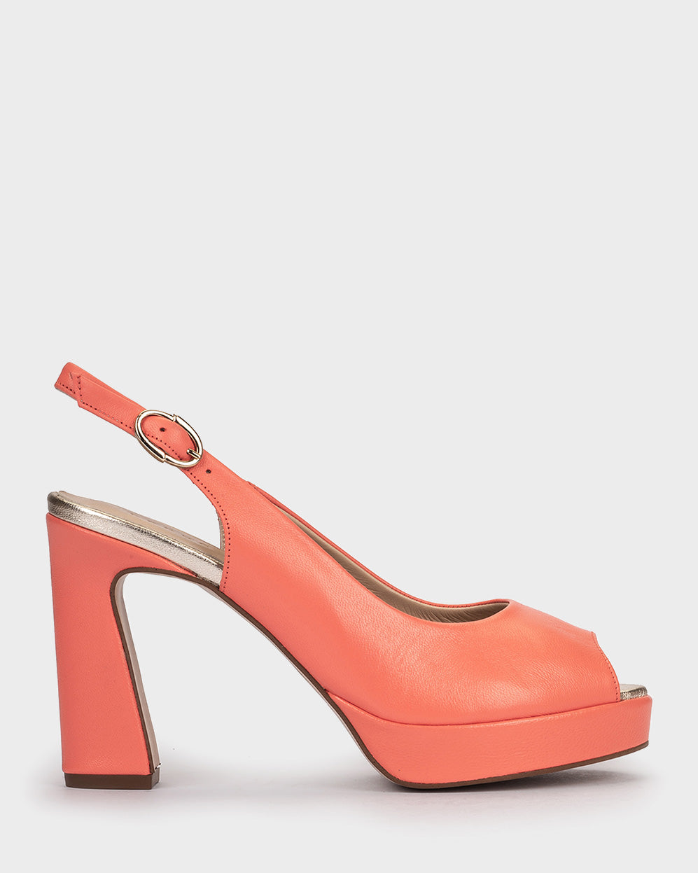 NATUR CORAL