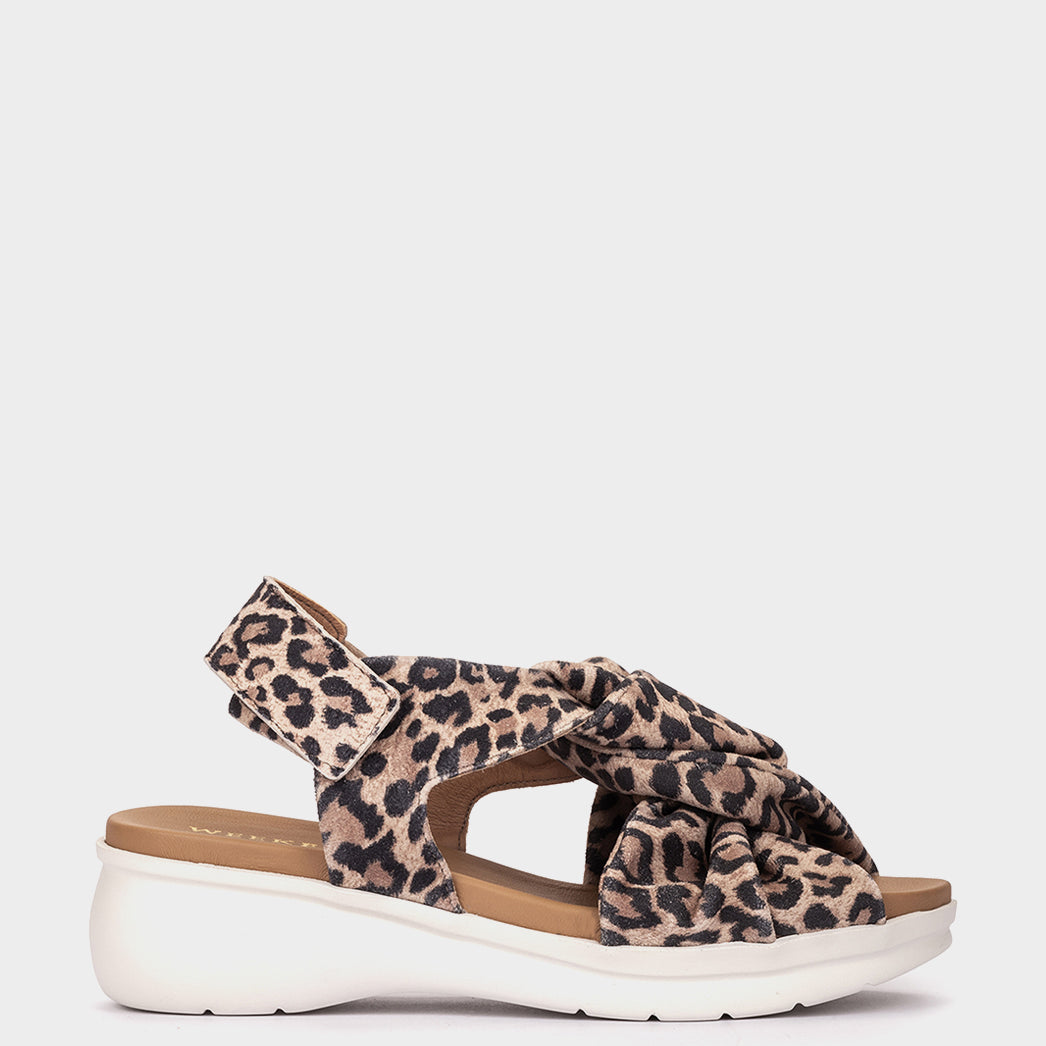 ANTE LEOPARDO CAMEL