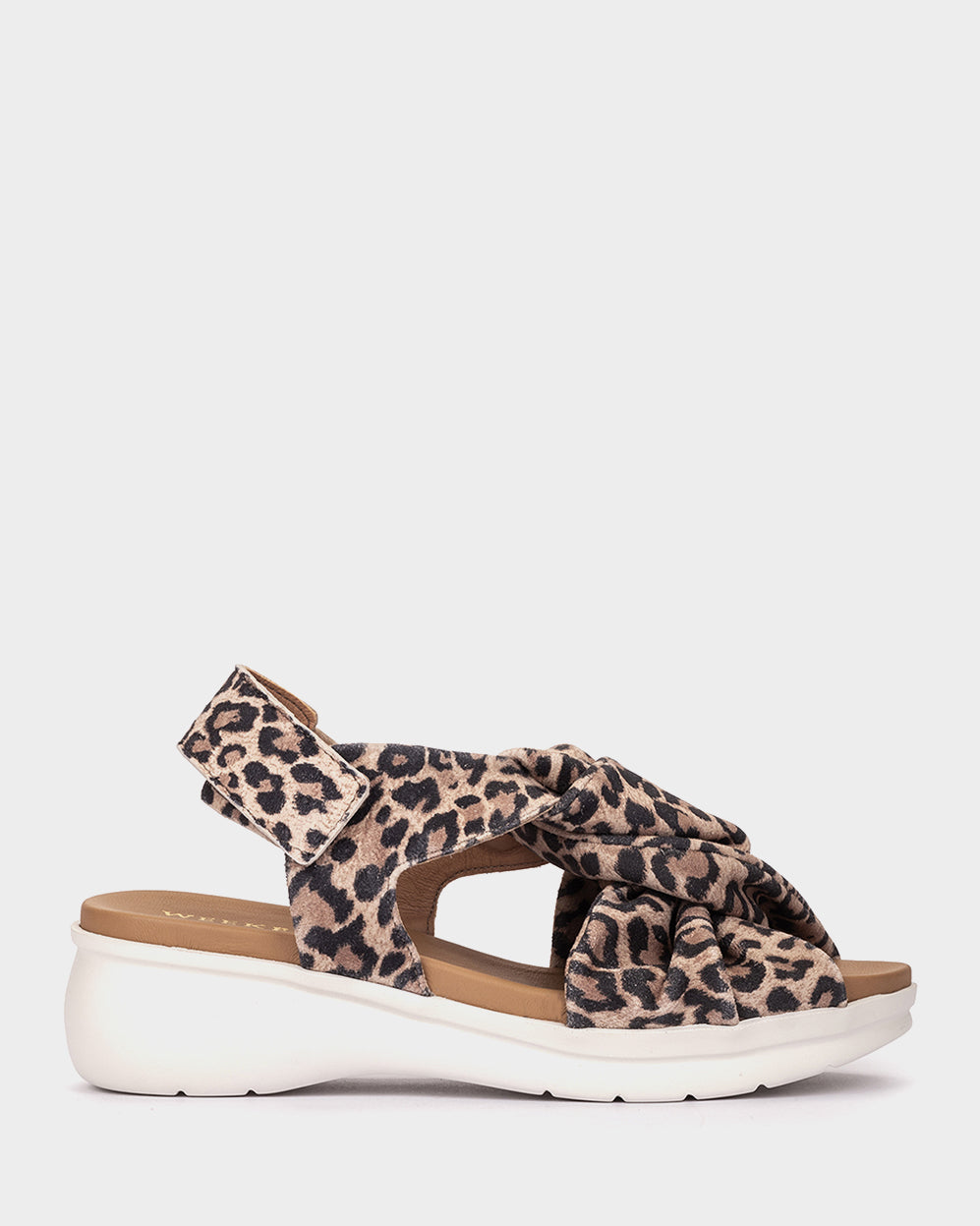 ANTE LEOPARDO CAMEL