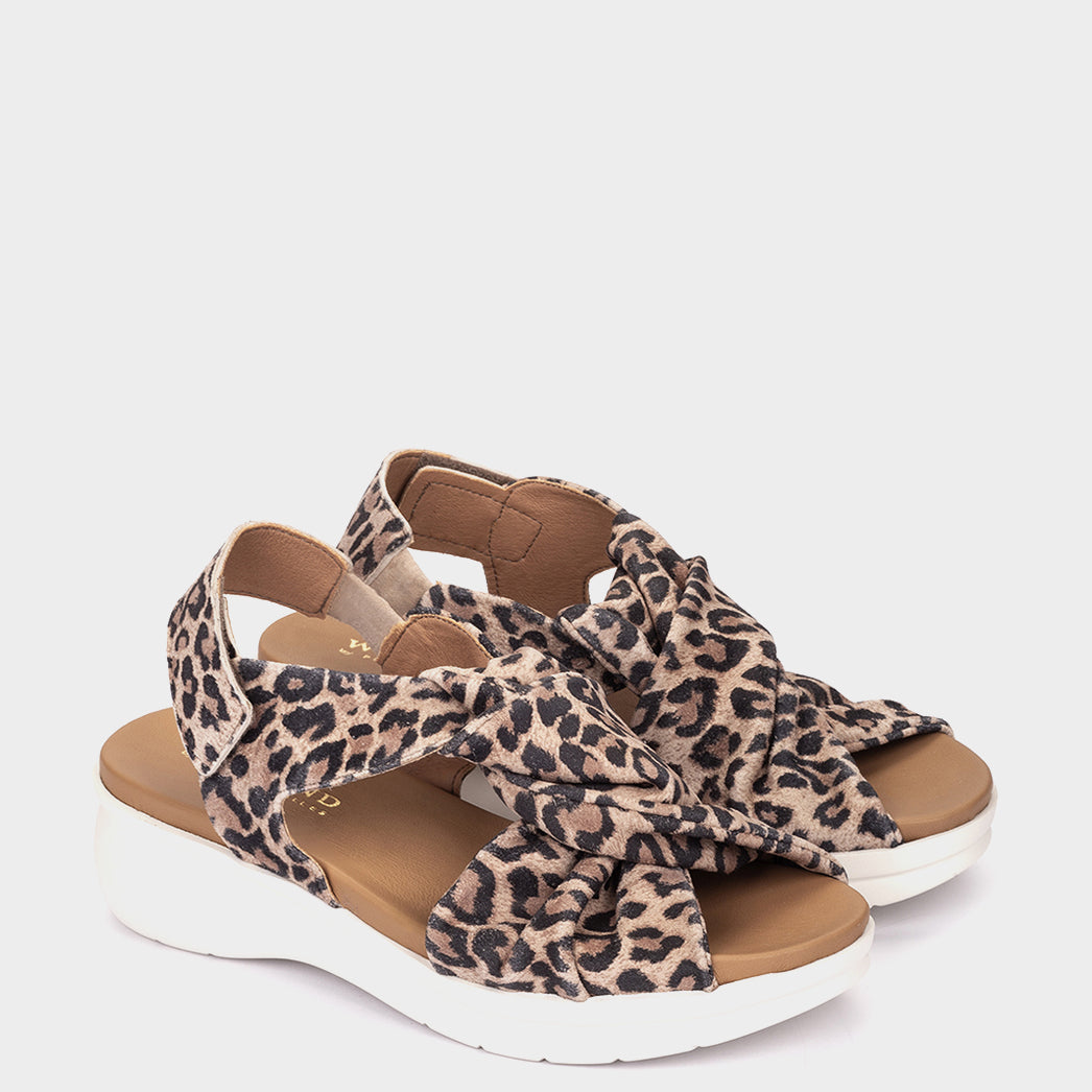 ANTE LEOPARDO CAMEL