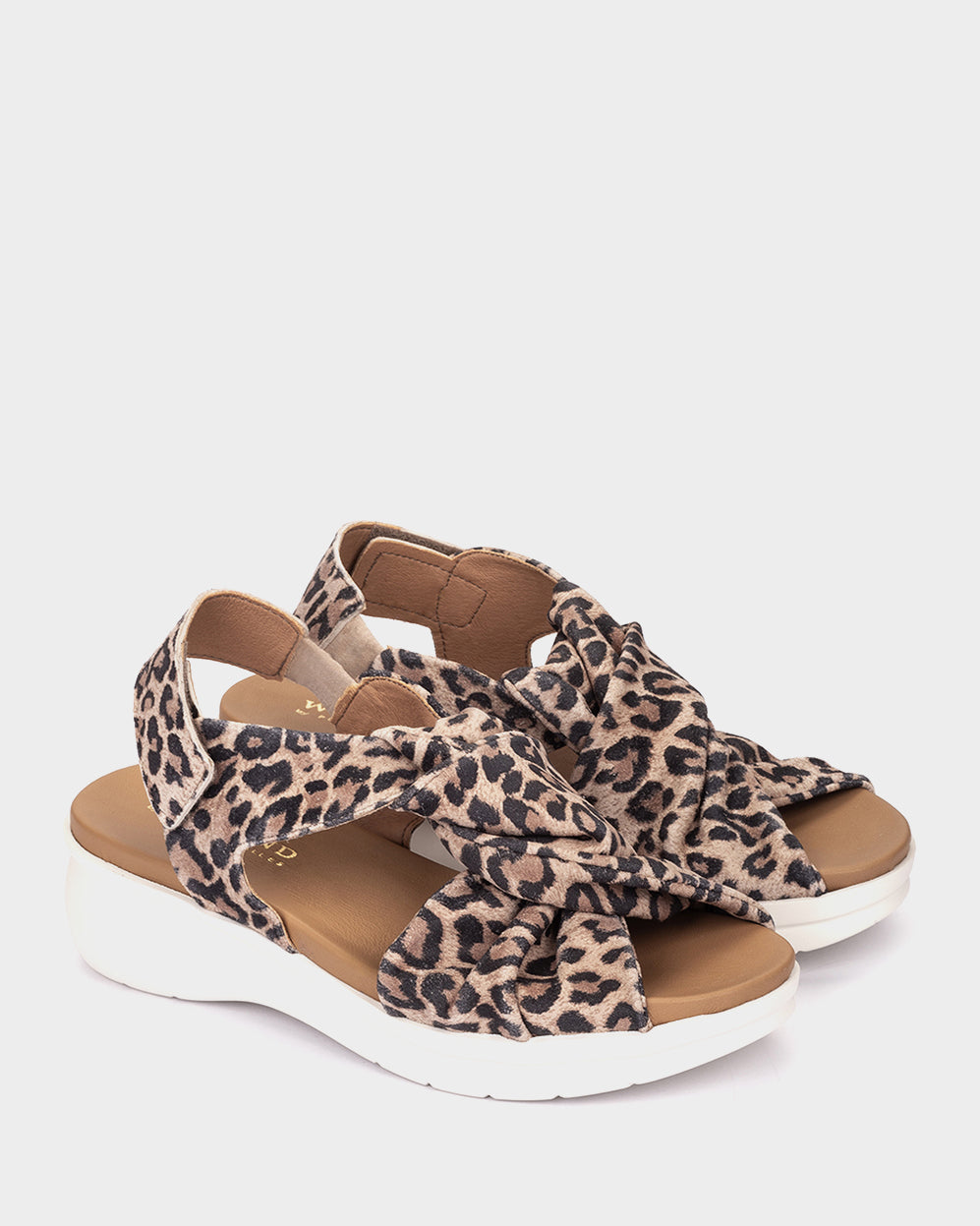 ANTE LEOPARDO CAMEL