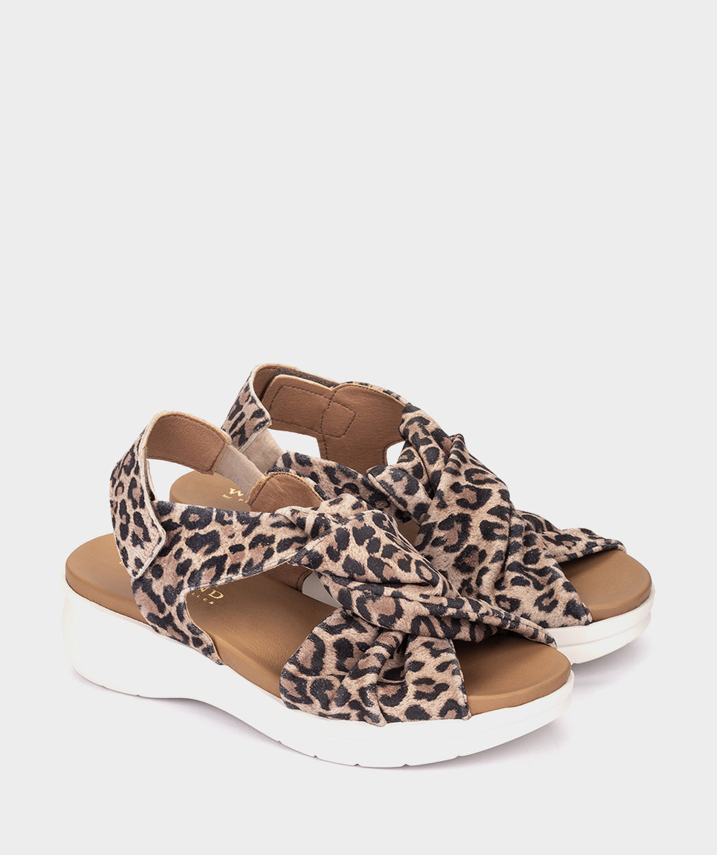 ANTE LEOPARDO CAMEL
