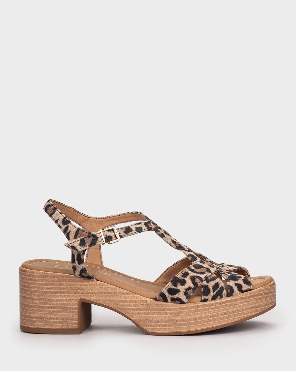 ANTE LEOPARDO CAMEL