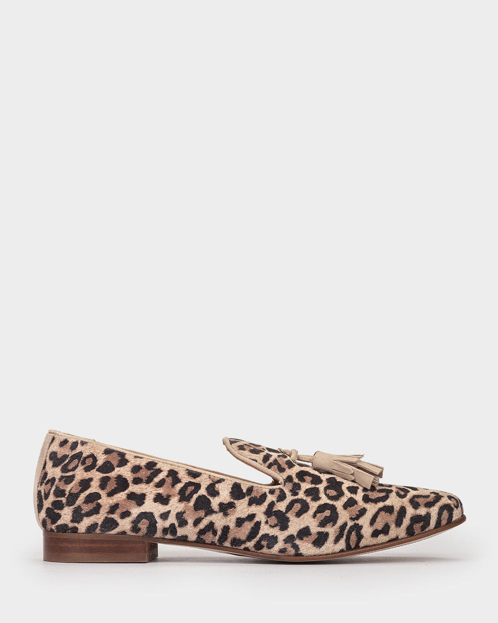 ANTE LEOPARDO CAMEL