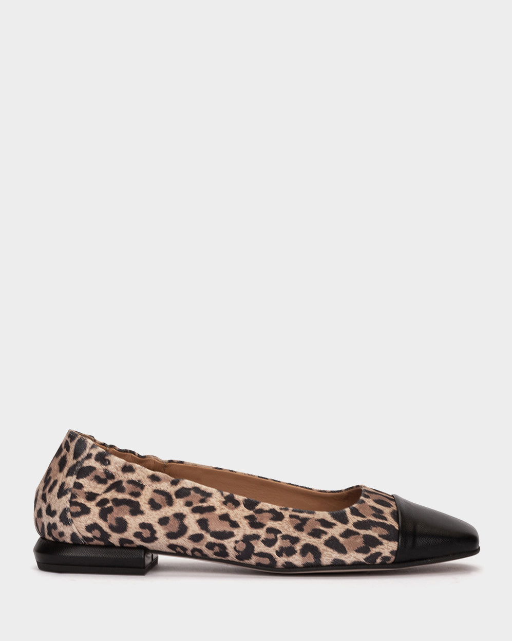 ANTE LEOPARDO CAMEL
