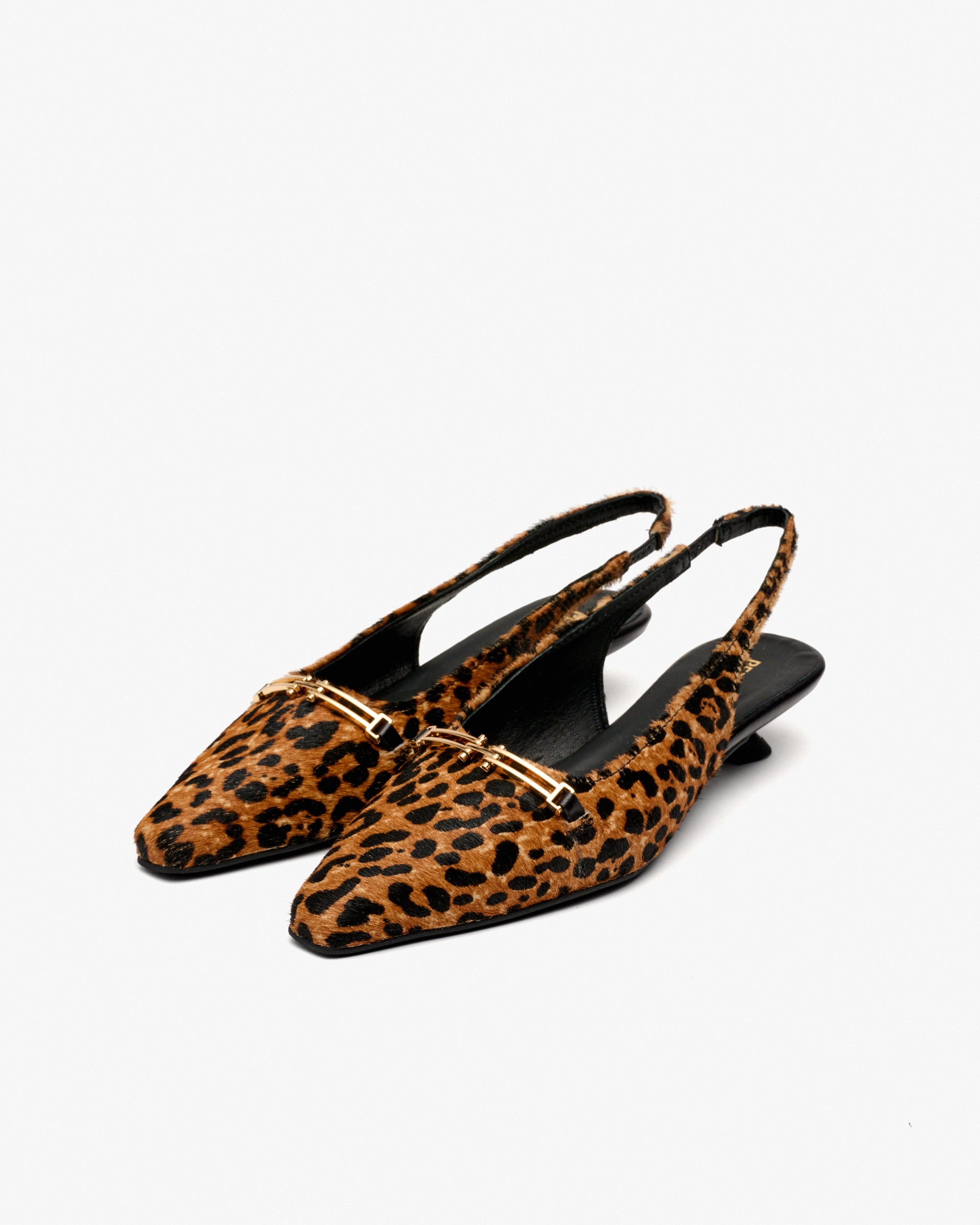 HORSY JAGUAR