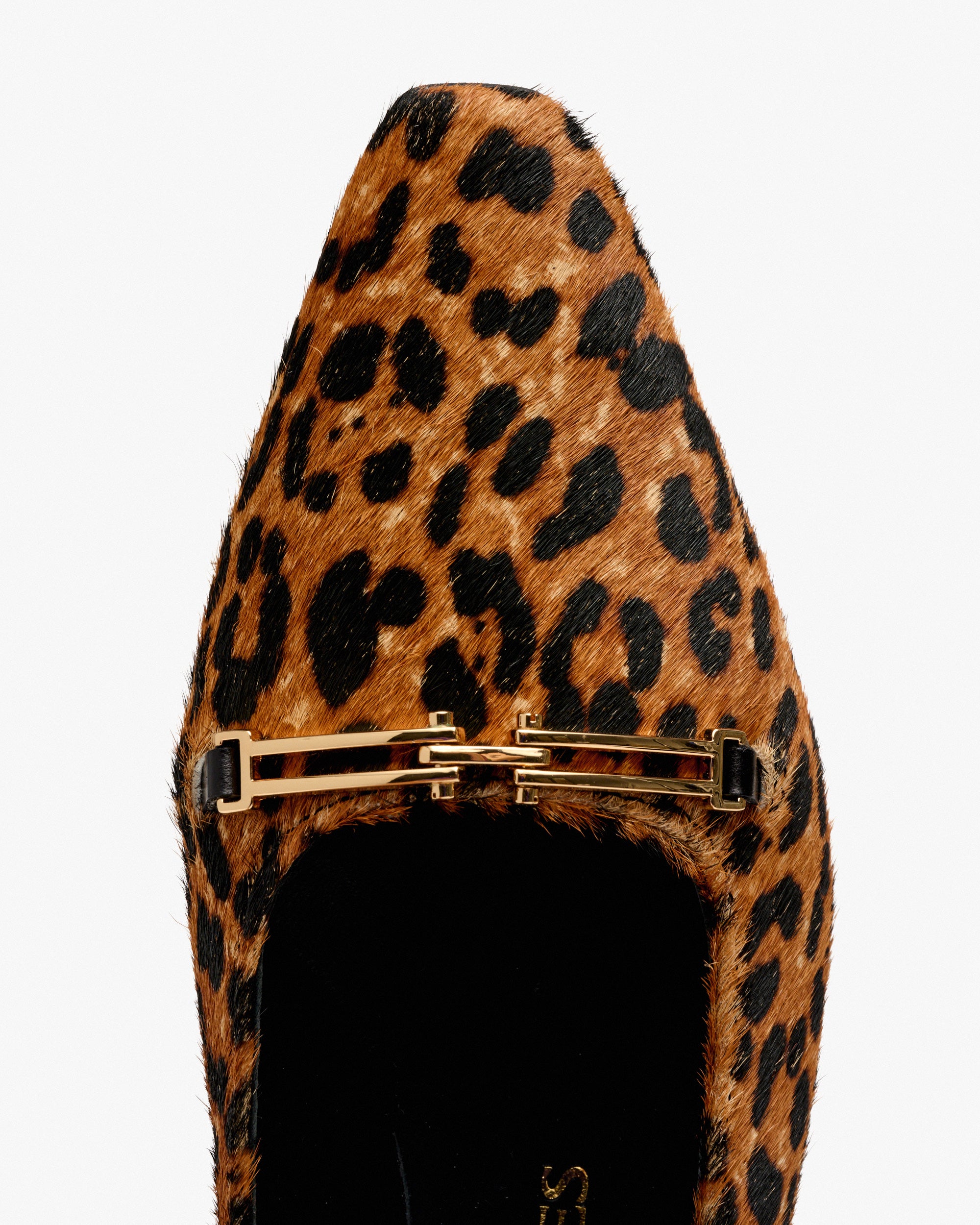 HORSY JAGUAR