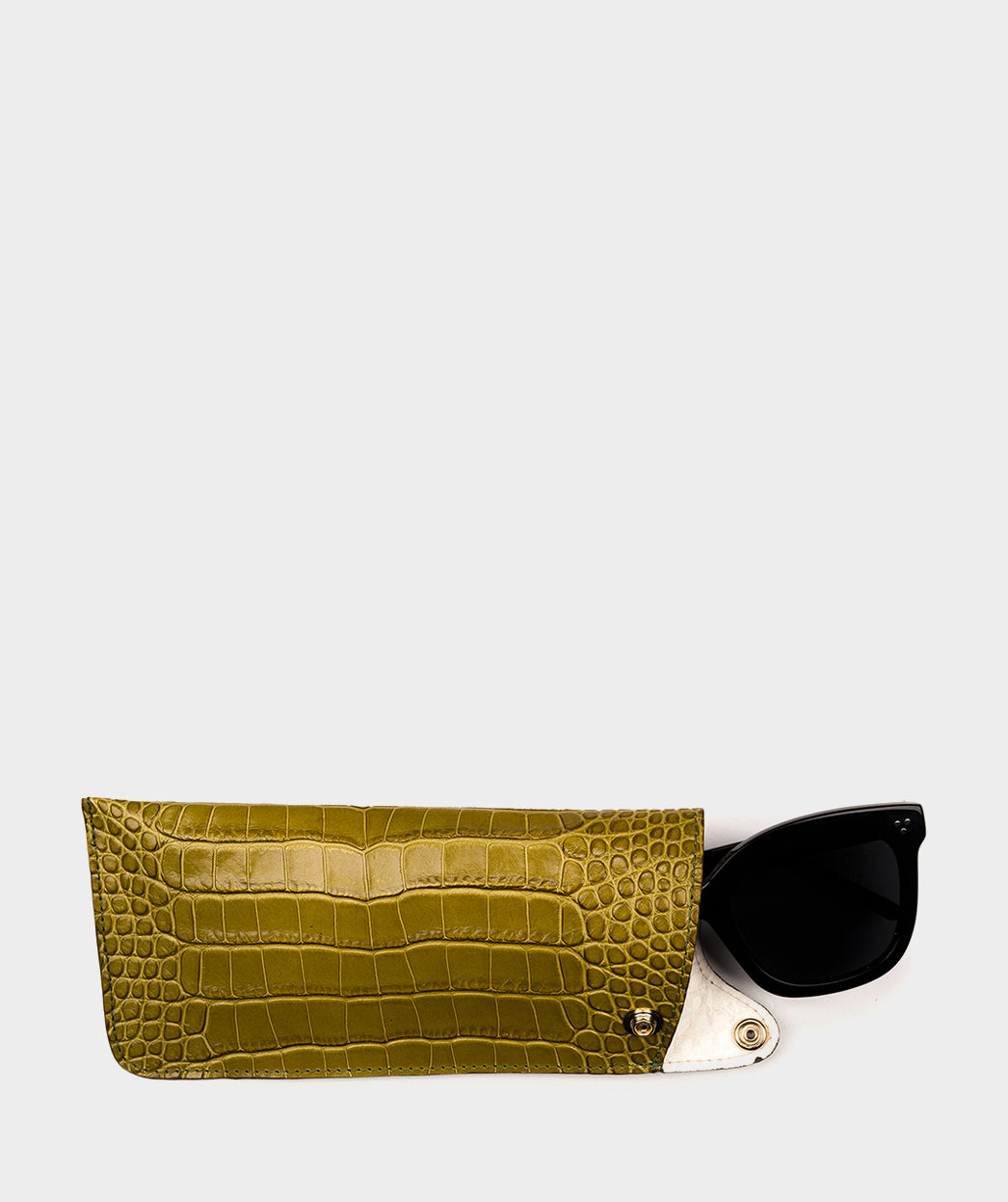 COCO LUISIANA BONSAI