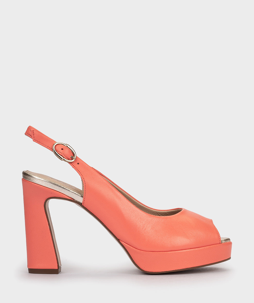 NATUR CORAL