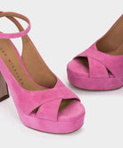ANTE FUXIA