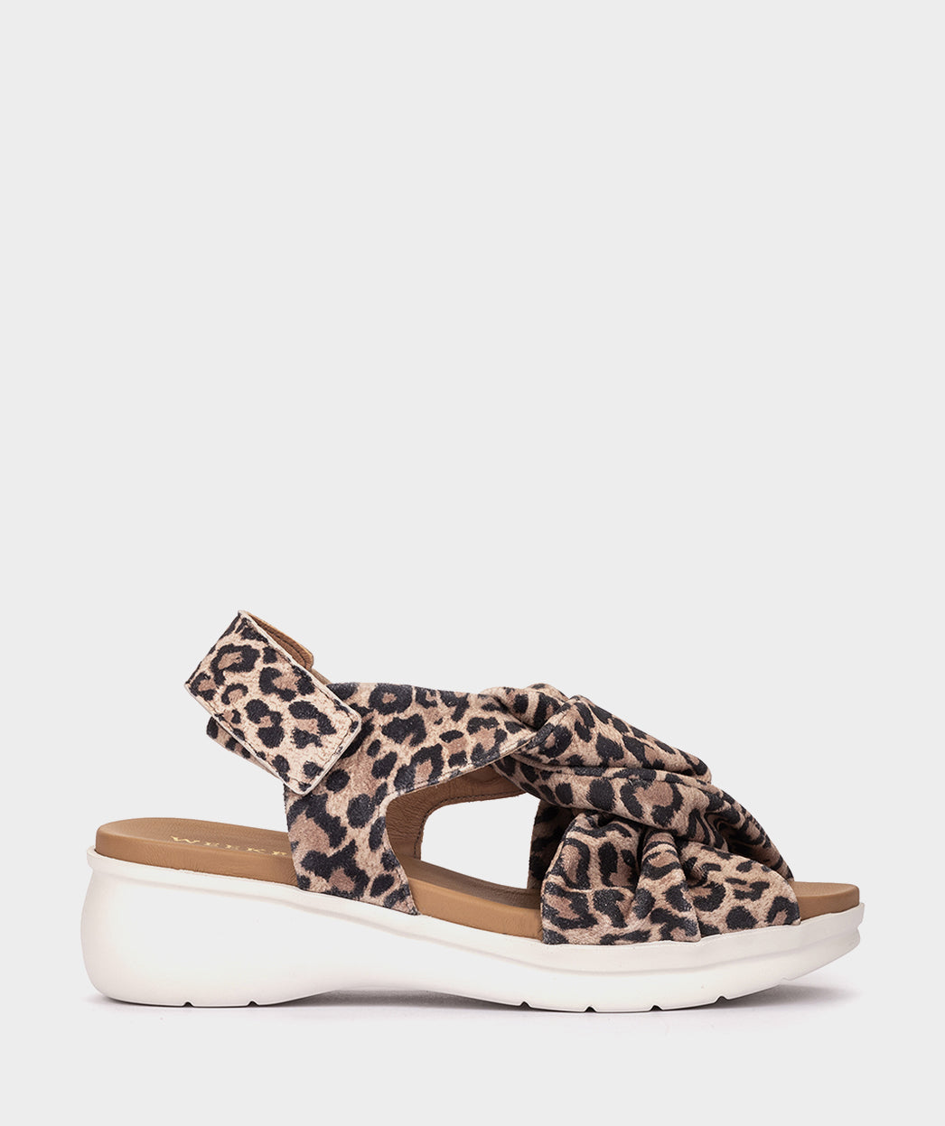 ANTE LEOPARDO CAMEL