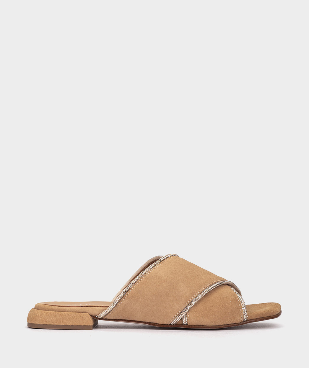 ANTE CAMEL