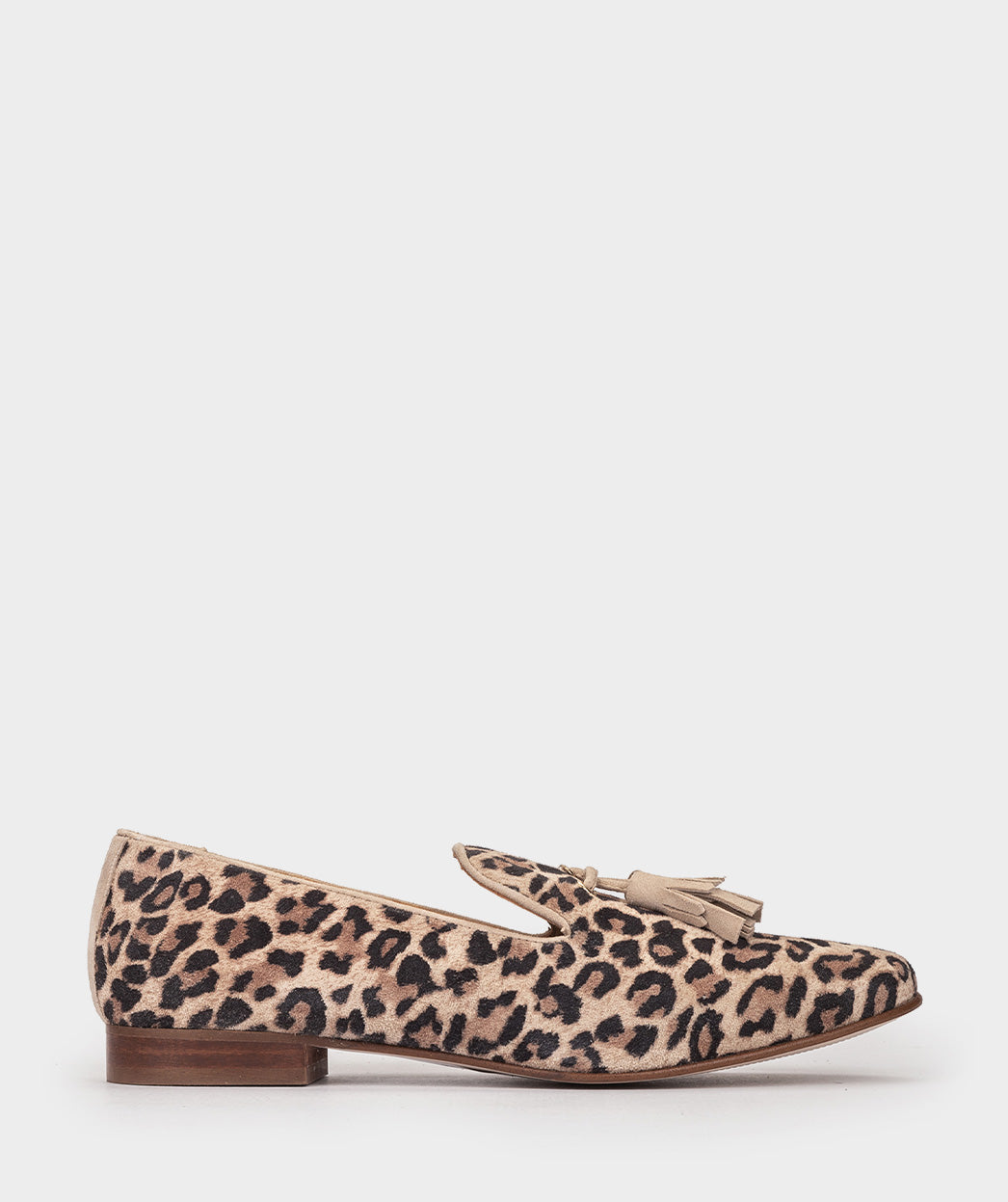 ANTE LEOPARDO CAMEL