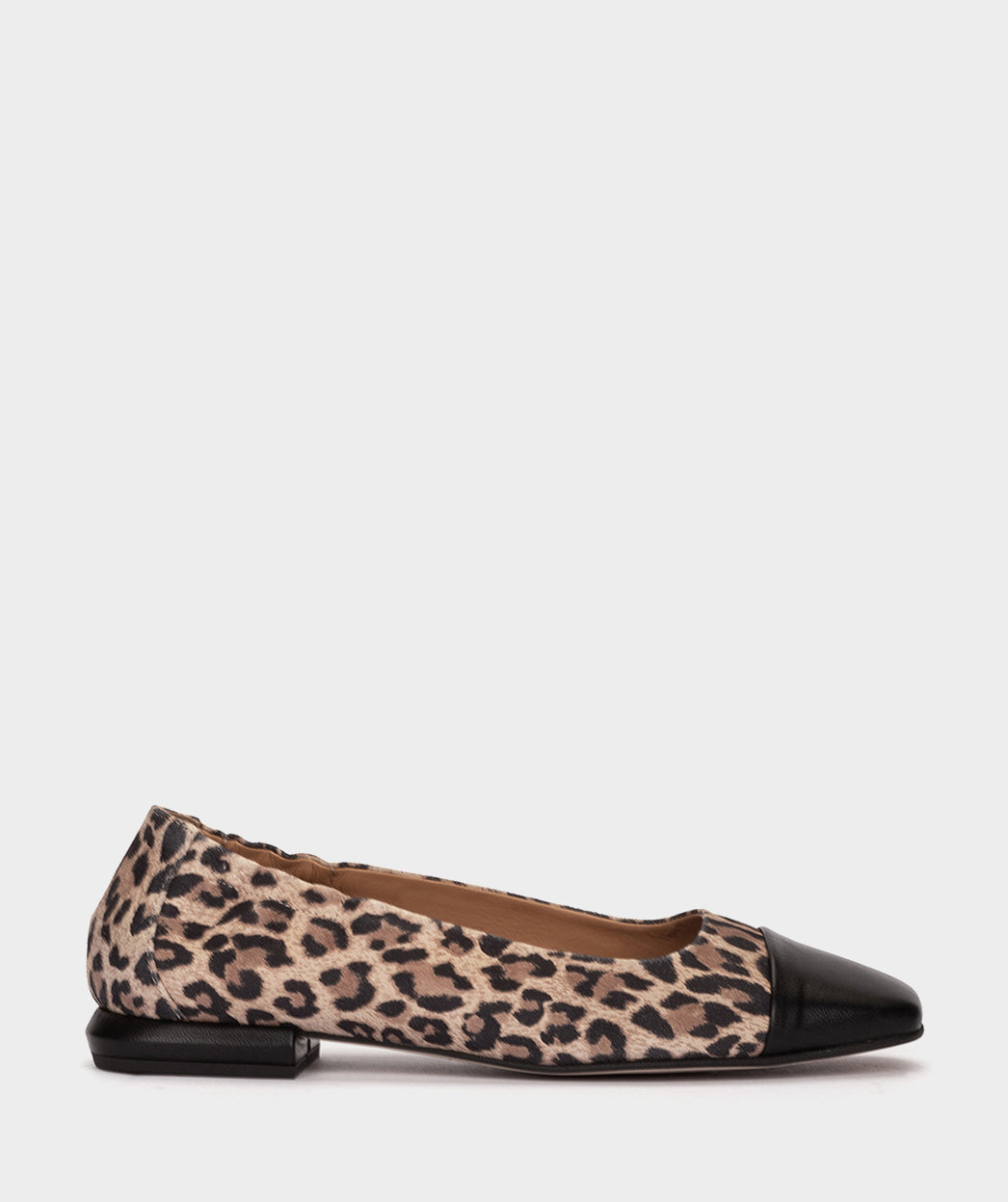 ANTE LEOPARDO CAMEL