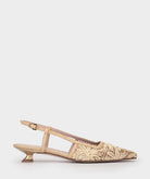 AIRO CAMEL