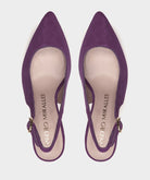 ANTE MORADO