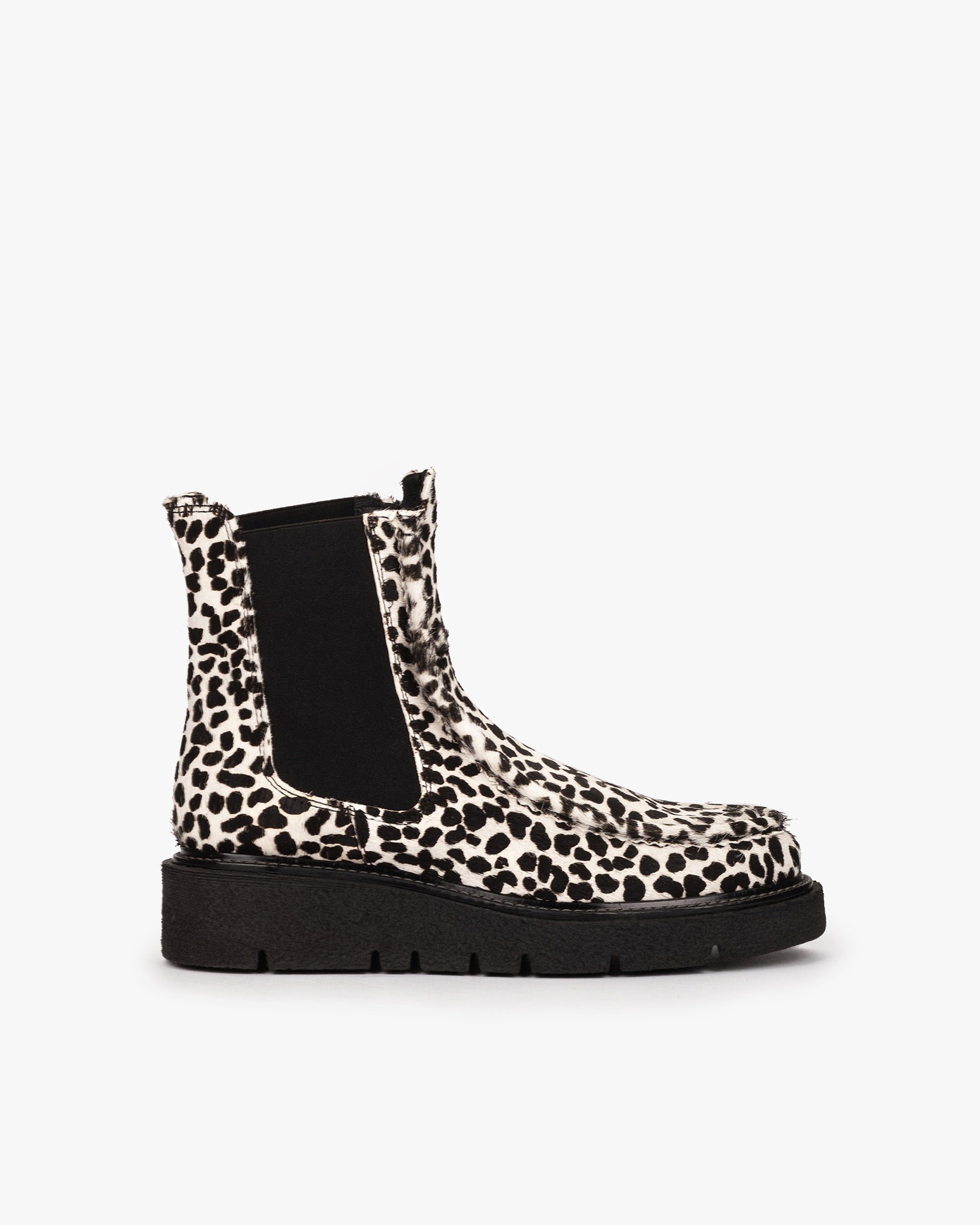 HORSY DALMATA