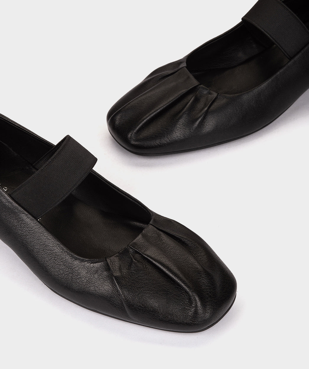 LOTUS NEGRO