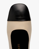 TORO ARTICO