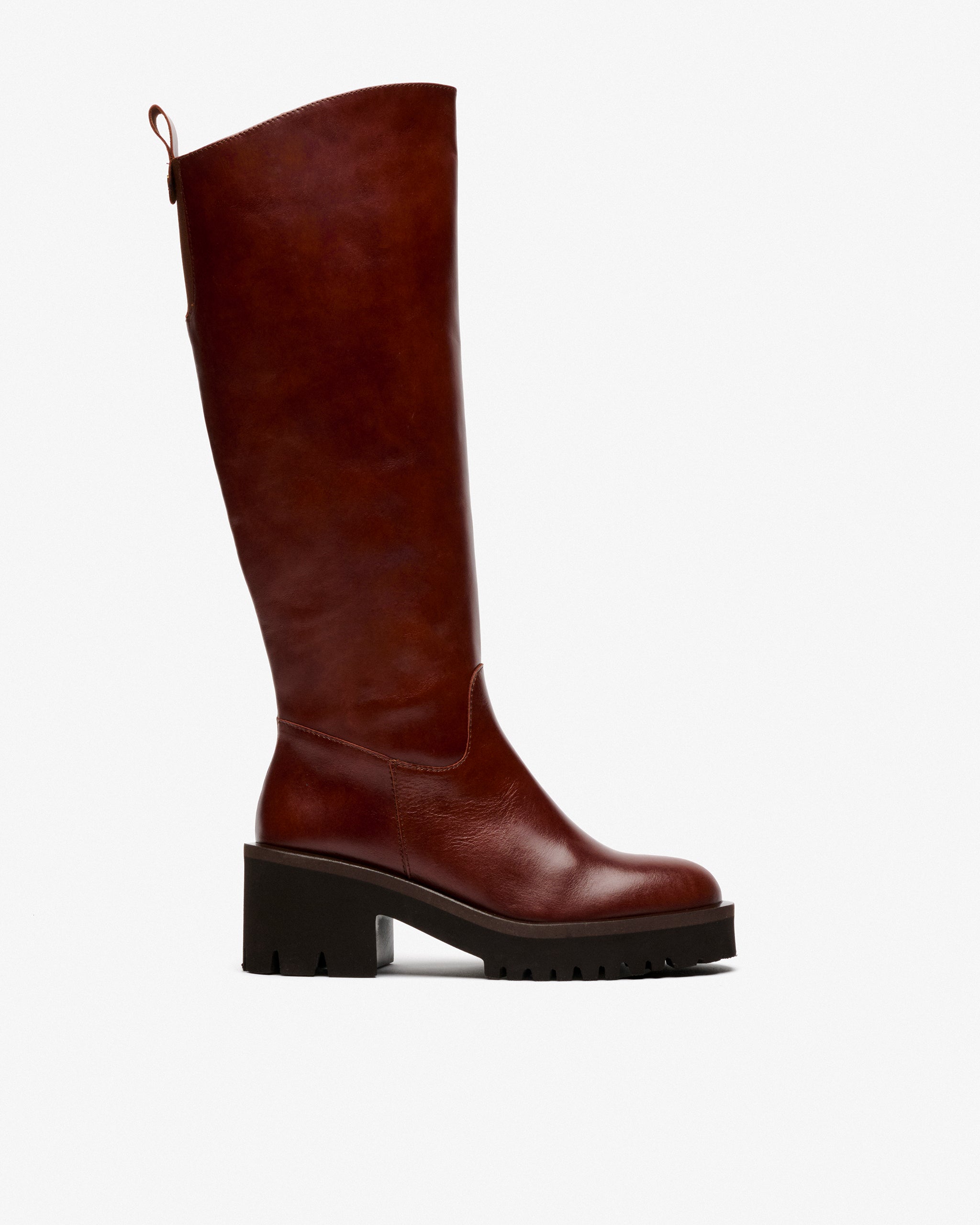 TORO NUEZ